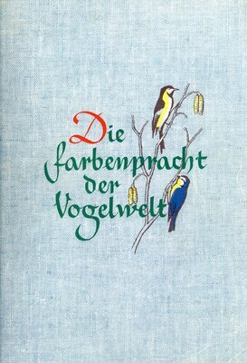 die-farbenpracht-der-vogelwelt-80496.jpg